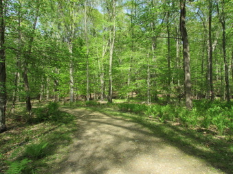 Enlarge photo 5