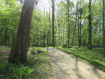 Enlarge photo 6