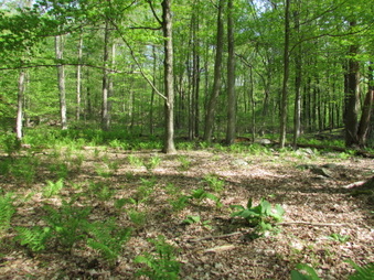 Enlarge photo 7