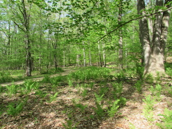 Enlarge photo 8