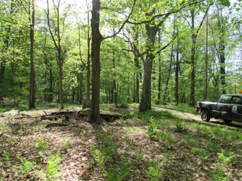 Enlarge photo 11