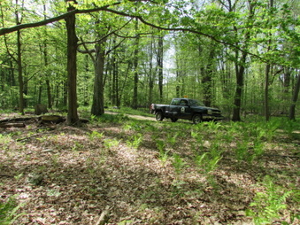 Enlarge photo 12