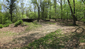 Shelter 4