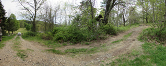 Ward Pound Ridge Reservation