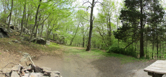 Enlarge photo 2