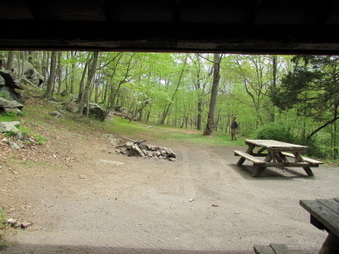 Enlarge photo 10