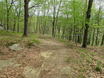 Enlarge photo 11
