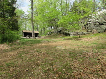 Enlarge photo 12