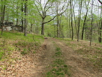 Enlarge photo 13