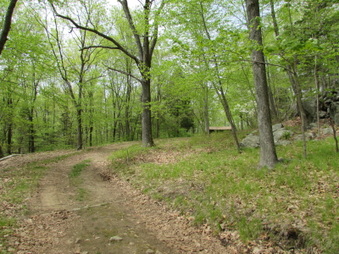 Enlarge photo 14