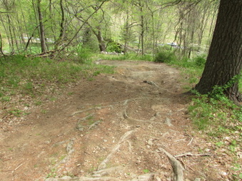 Enlarge photo 15