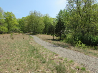 Enlarge photo 4