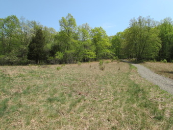 Enlarge photo 5