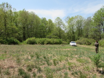 Enlarge photo 6