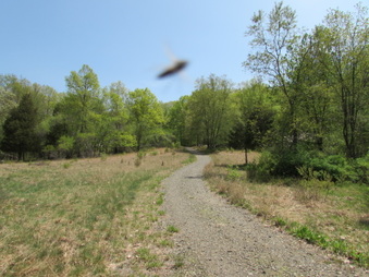 Enlarge photo 7