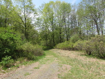 Enlarge photo 8