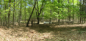 Enlarge photo 3