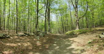 Enlarge photo 6