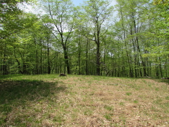 Enlarge photo 9