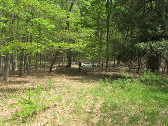 Enlarge photo 10