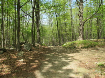 Enlarge photo 12