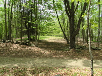 Enlarge photo 13