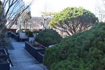 Enlarge photo 42