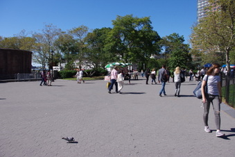 Enlarge photo 14