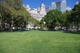 Enlarge photo 20