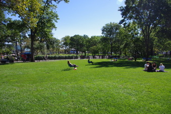 Enlarge photo 29