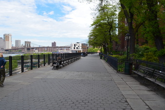 Enlarge photo 63