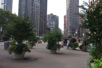 Enlarge photo 14