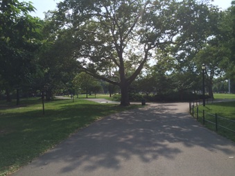 Mccarren Baseball Field