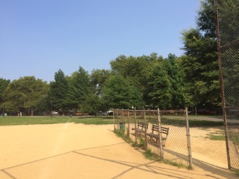 Enlarge photo 25