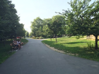 Enlarge photo 32