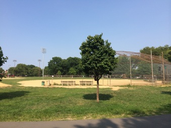 Enlarge photo 33