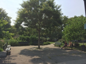 Enlarge photo 15