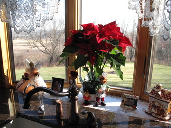 Enlarge photo 23