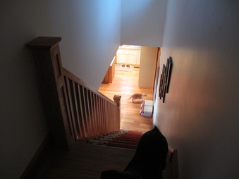 Enlarge photo 33