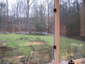 Enlarge photo 25