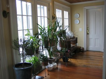 Enlarge photo 42