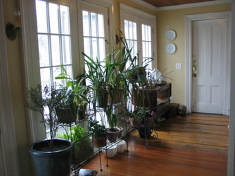 Enlarge photo 20