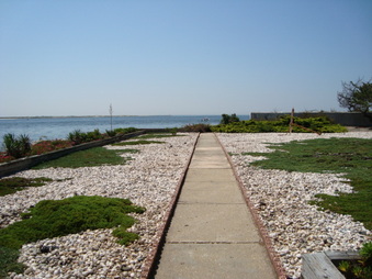 Enlarge photo 33