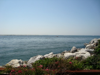 Enlarge photo 35