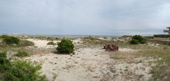 Enlarge photo 31