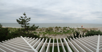 Enlarge photo 25