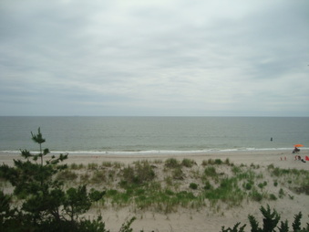 Enlarge photo 55