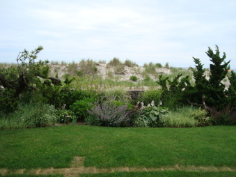 Enlarge photo 50