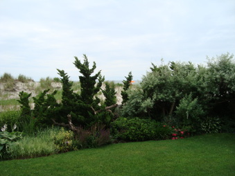 Enlarge photo 51