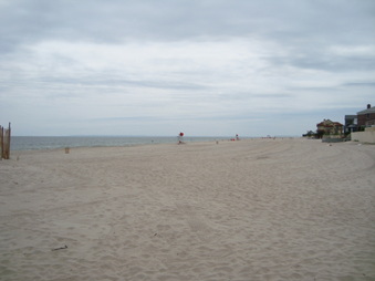 Enlarge photo 56
